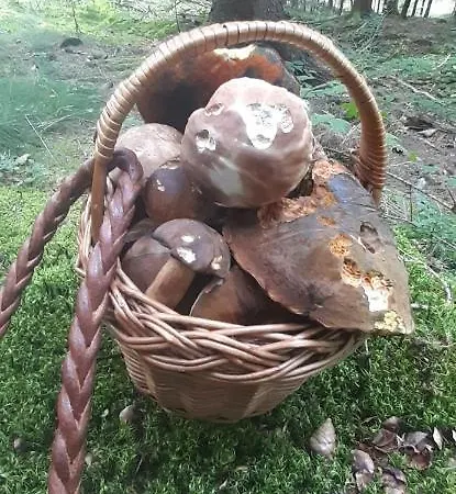 Penzion U Draci Skaly