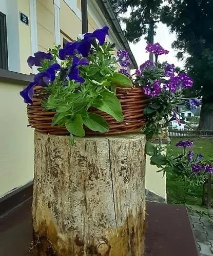 U Draci Skaly 3* Svojse